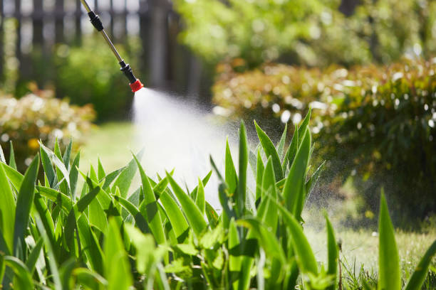 Tamper-Resistant Bait Stations for Rodents in Bicknell