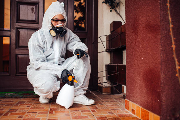 Attic and Crawl Space Rodent Treatment in Bicknell