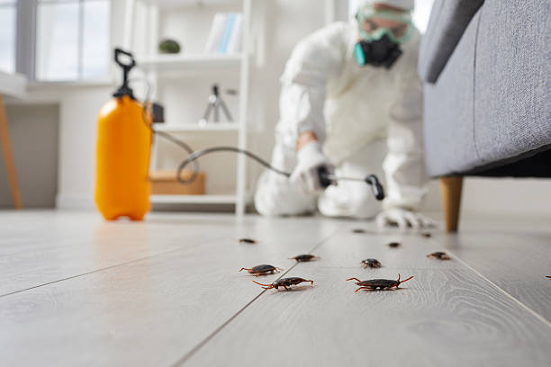 Commercial Rodent Management in Bicknell